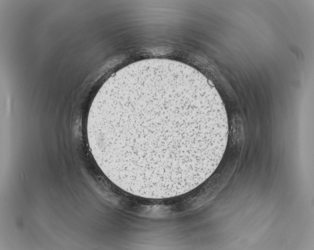 X0000110860212200907301358