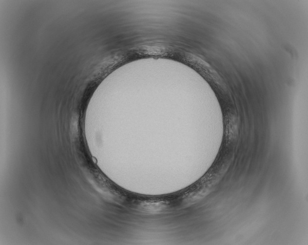 X0000110860213200907301358
