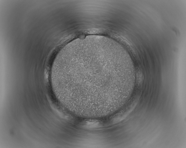 X0000110860214200907301358