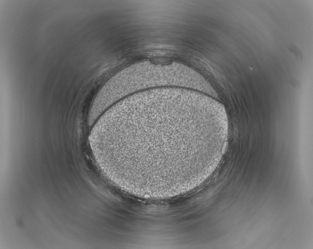 X0000110860215200907301358