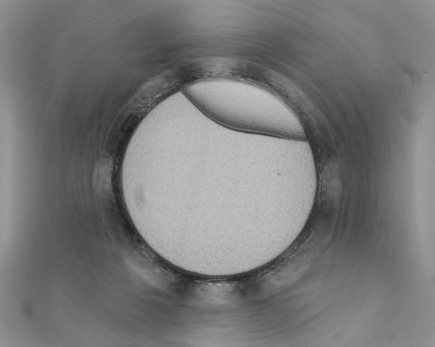 X0000110860217200907301358