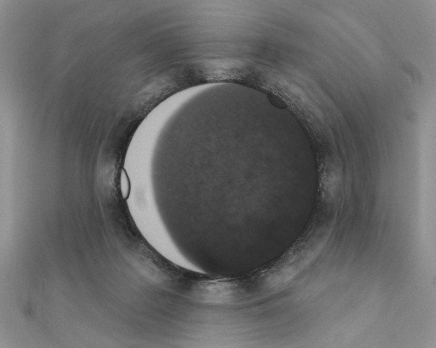 X0000110860219200907301358