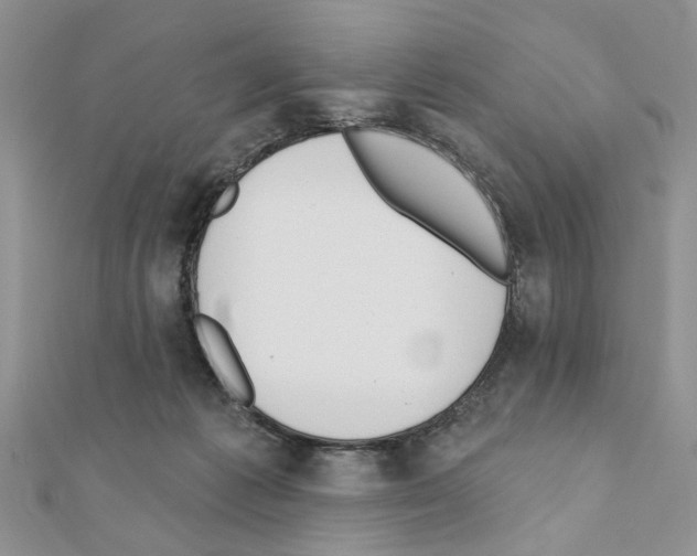 X0000110860221200907301358