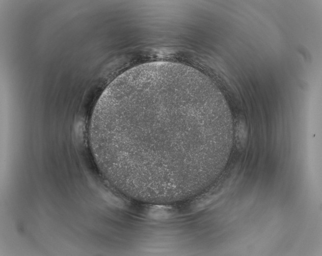 X0000110860222200907301358