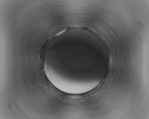 X0000110860223200907301358