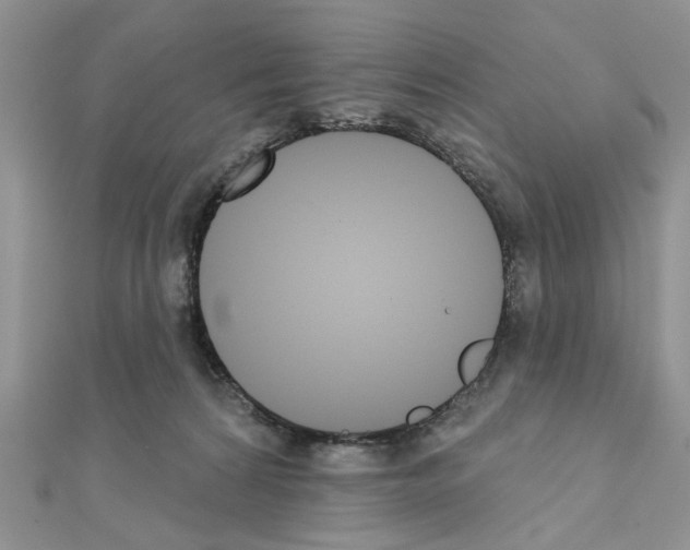 X0000110860224200907301358