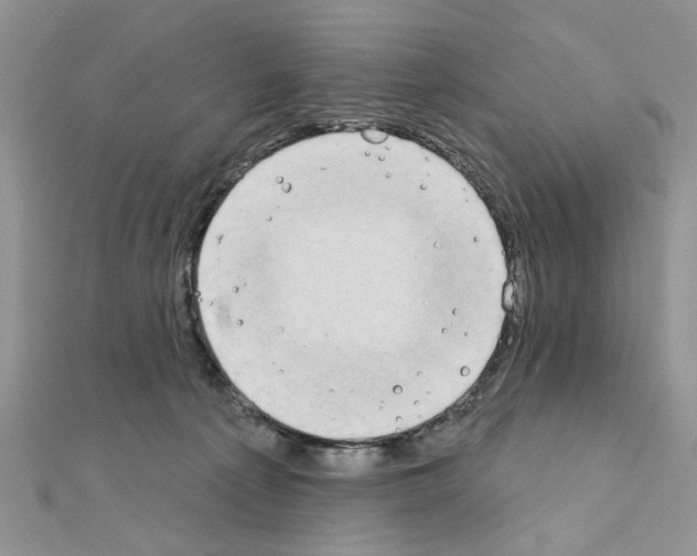 X0000110860225200907301358