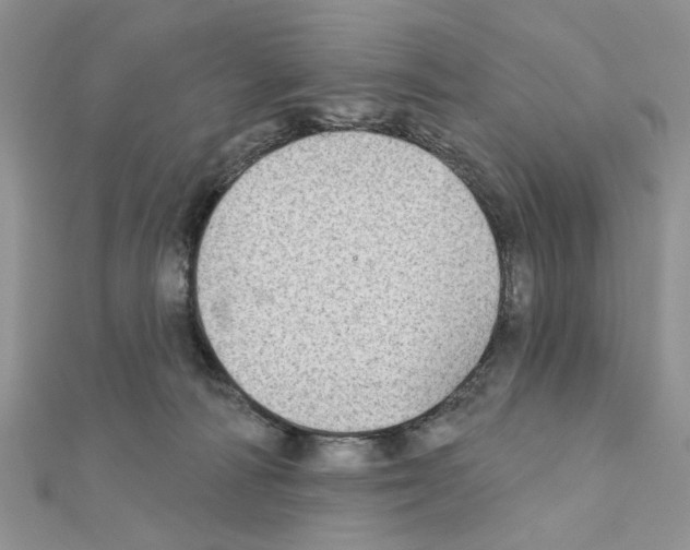 X0000110860226200907301358
