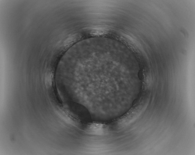 X0000110860227200907301358