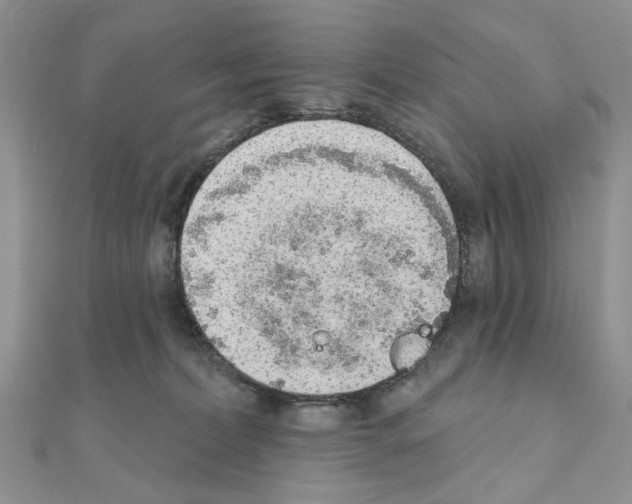 X0000110860228200907301358