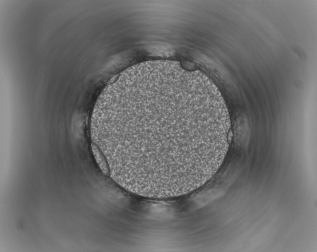 X0000110860229200907301358