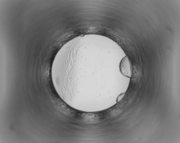 X0000110860230200907301358