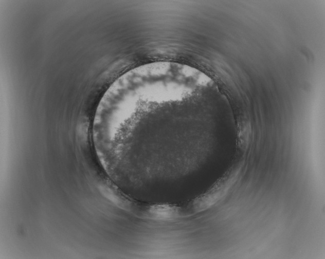 X0000110860231200907301358