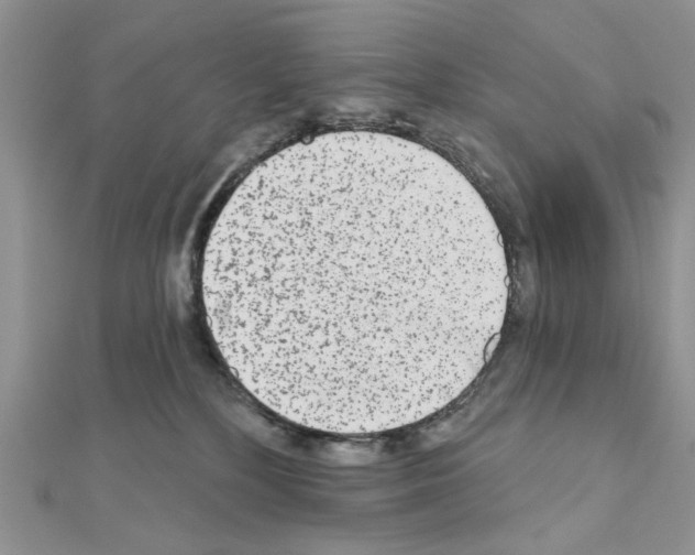 X0000110860232200907301358