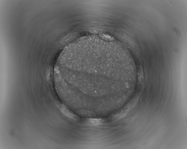 X0000110860233200907301358