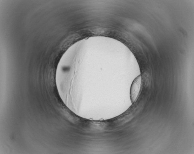 X0000110860234200907301358