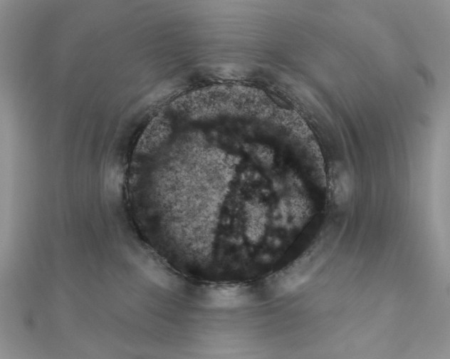 X0000110860235200907301358