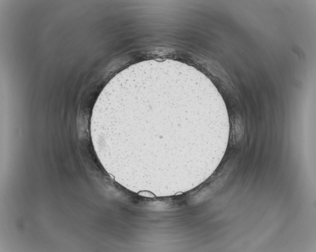 X0000110860236200907301358
