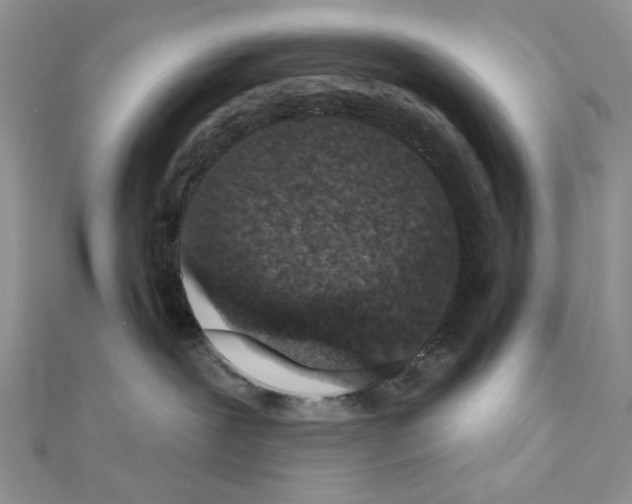 X0000110860239200907301358