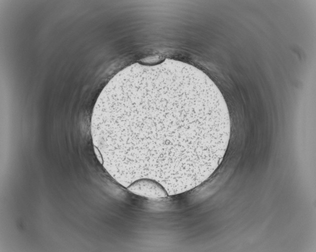 X0000110860240200907301358