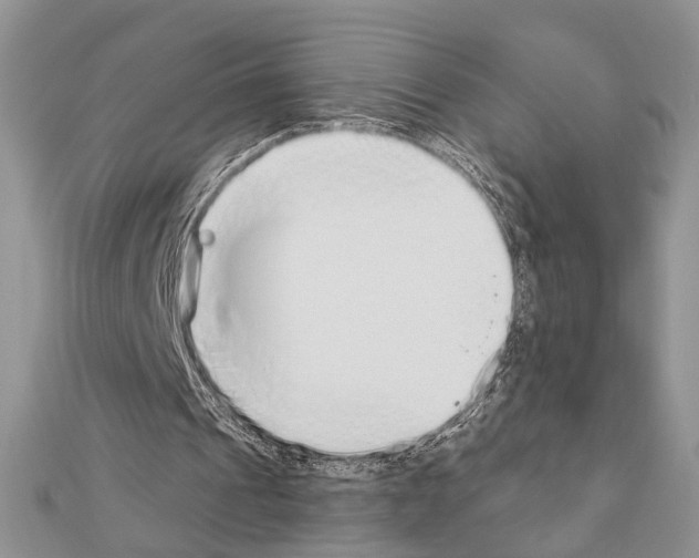 X0000110860241200907301357