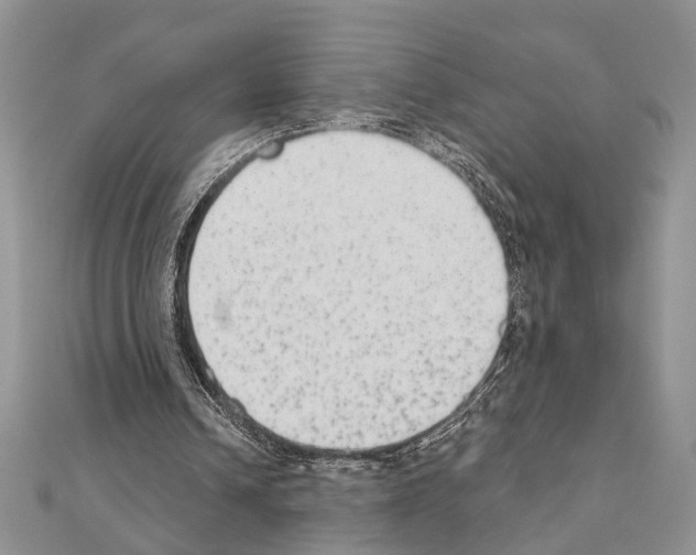 X0000110860242200907301357