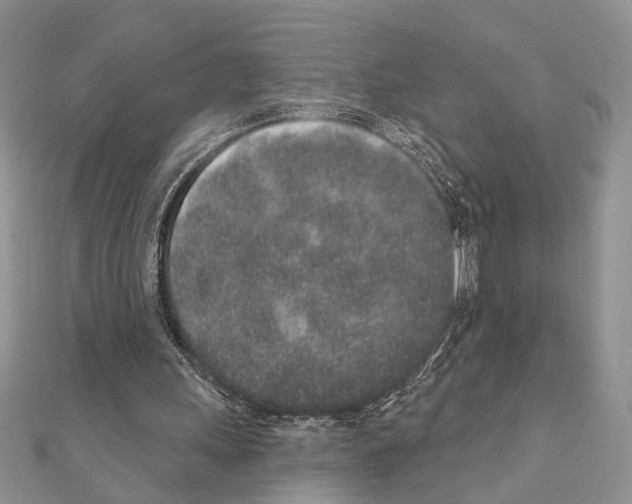 X0000110860243200907301357