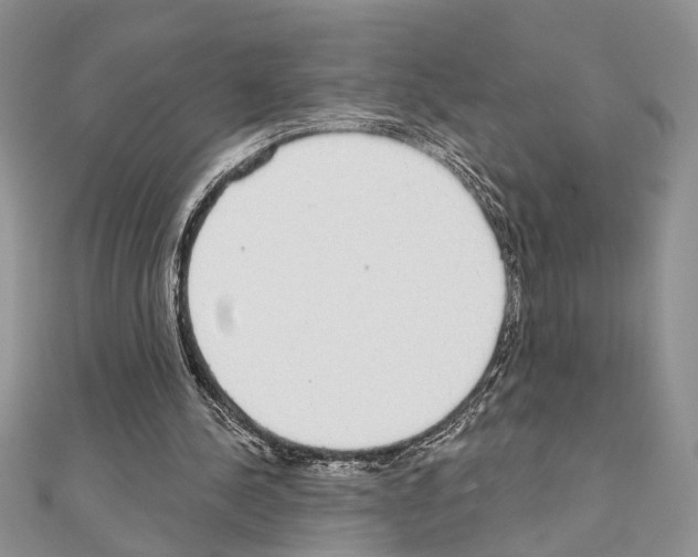 X0000110860244200907301357
