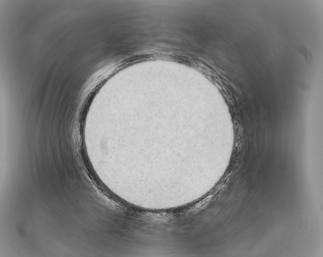 X0000110860245200907301357