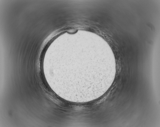 X0000110860246200907301357