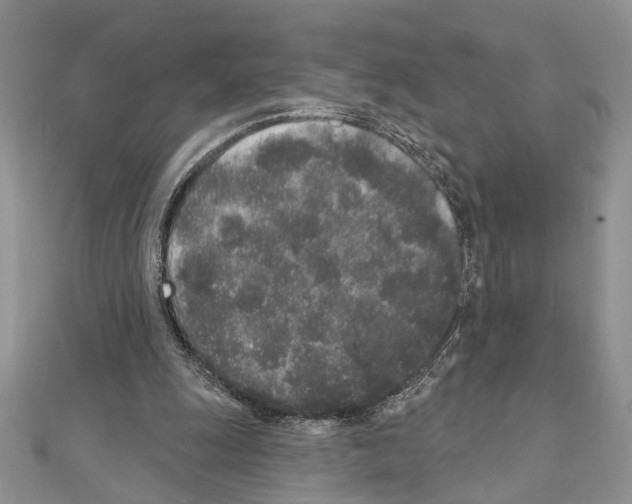 X0000110860247200907301357