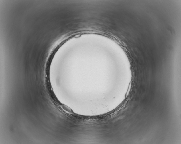X0000110860248200907301357