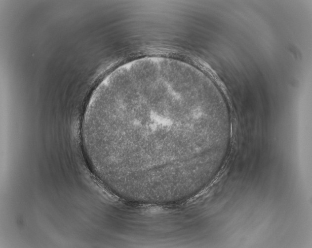 X0000110860249200907301358