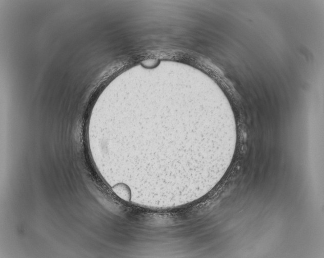 X0000110860250200907301358