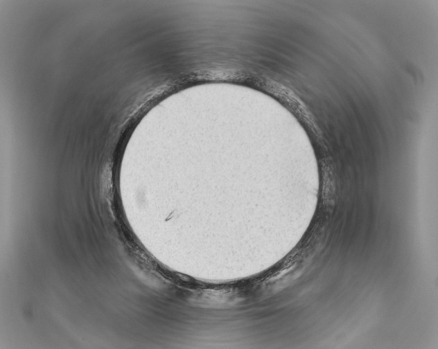X0000110860251200907301358