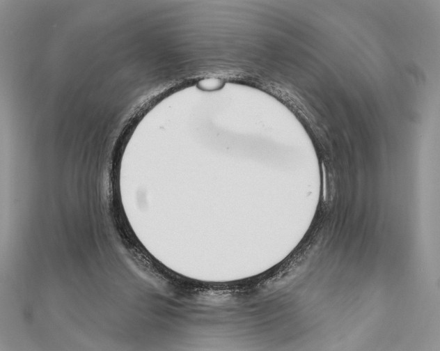 X0000110860252200907301358