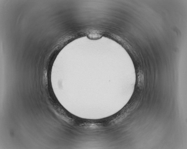 X0000110860254200907301358