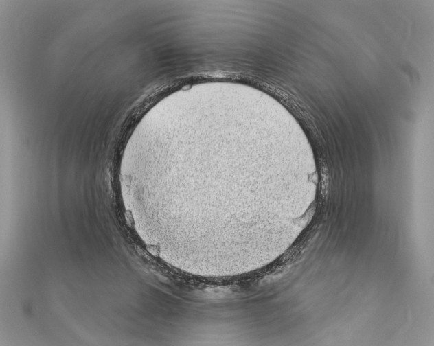 X0000110860256200907301358
