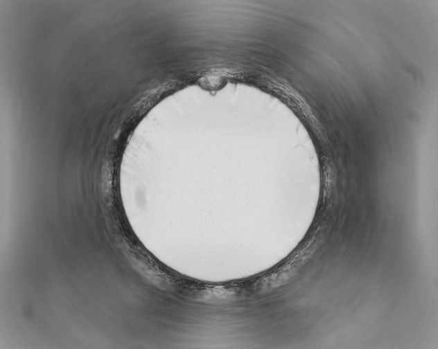 X0000110860257200907301358