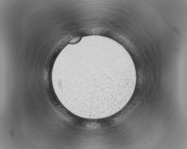 X0000110860258200907301358