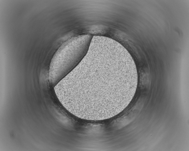 X0000110860260200907301358