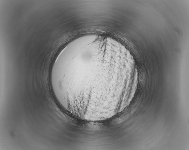 X0000110860261200907301358