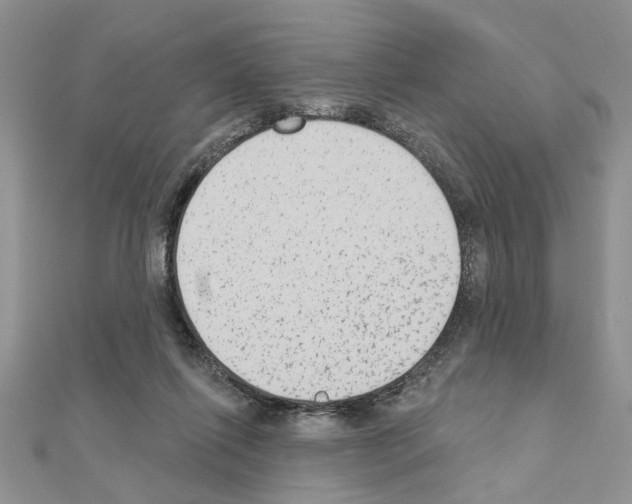 X0000110860262200907301358