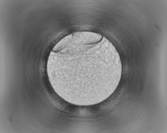 X0000110860264200907301358