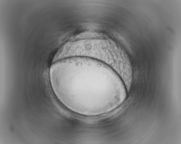 X0000110860265200907301358
