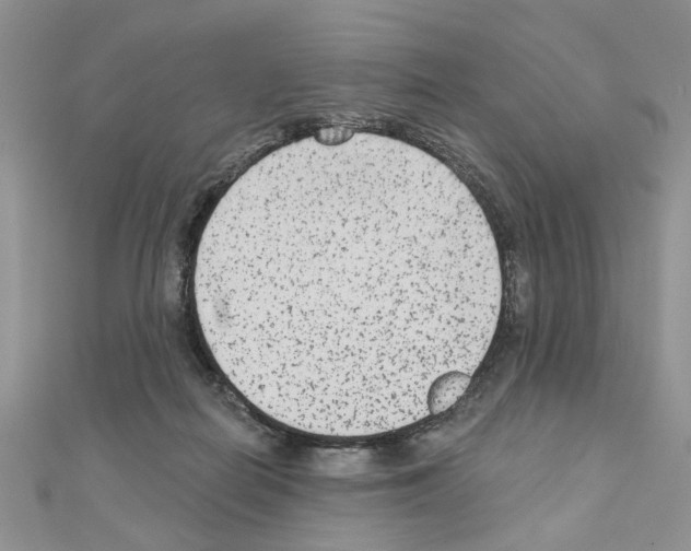 X0000110860266200907301358