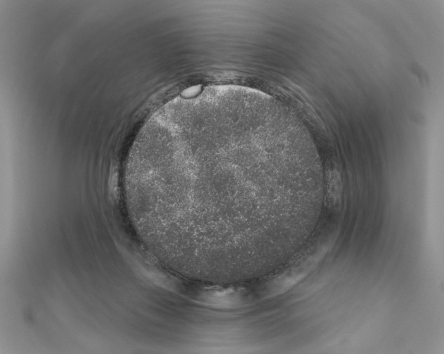 X0000110860267200907301358