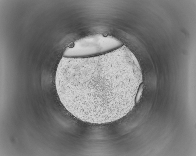 X0000110860268200907301358