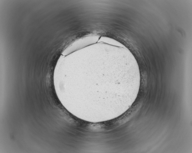 X0000110860269200907301358