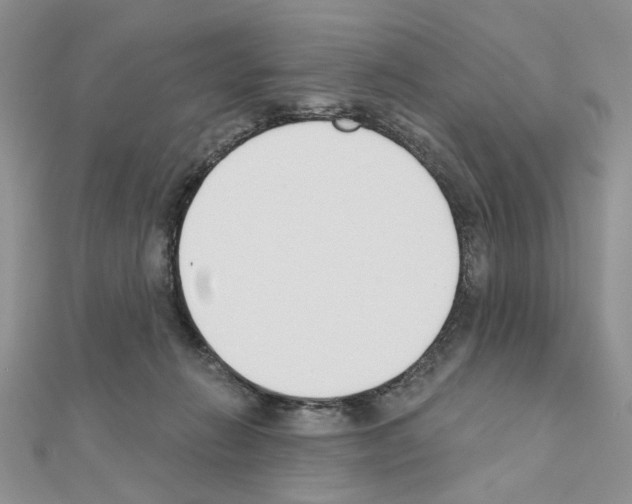 X0000110860270200907301358